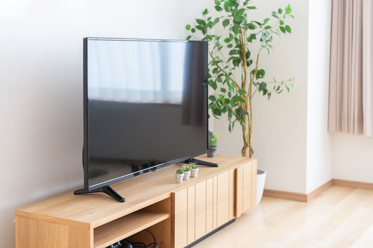 テレビキャスティング会社とは